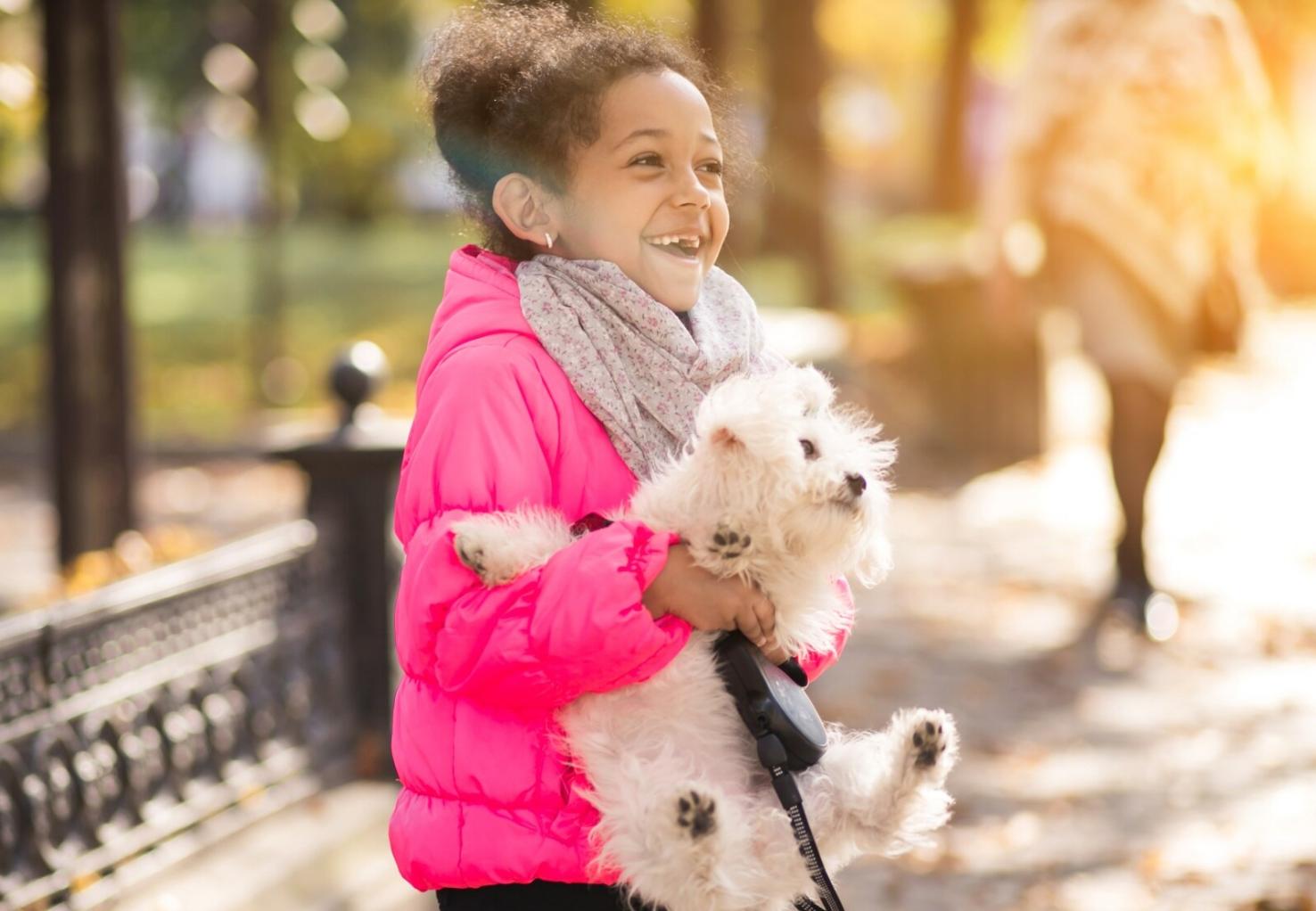 14 dicas essenciais para quem vai ter um cão pela primeira vez 
